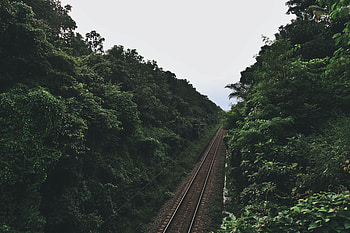 Nature, Trees, Road, Railway HD wallpaper