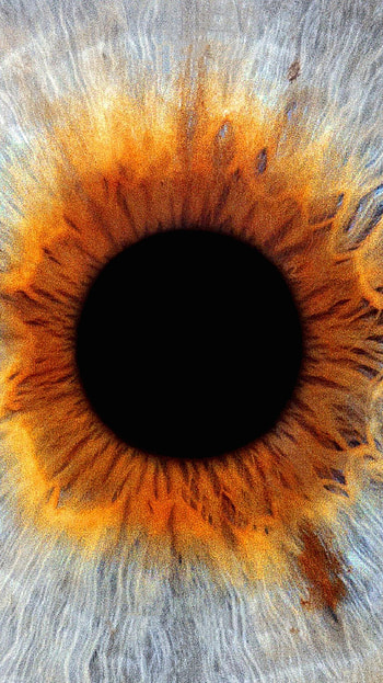 I Origins, Eye ry, Symbolic visuals, Enigmatic symbolism HD phone wallpaper