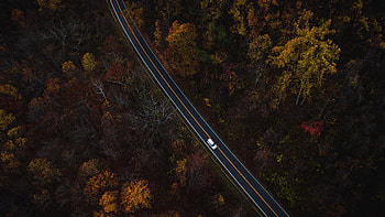 Auto, Nature, Trees, View From Above, Road HD wallpaper