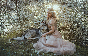 Princess and her wolf, marketa novak, girl, princess, lup, wolf, forest, woman, model, dress, pink HD wallpaper