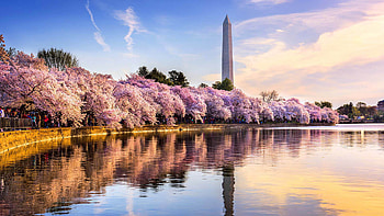 Weekend guide, D.C. itinerary, Local travel, Marriott's recommendations HD wallpaper