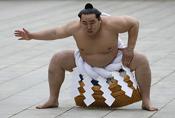 Sumo, Top backgrounds HD wallpaper