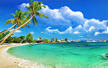 Tropical beach escape, , Background inspiration, Coastal serenity HD wallpaper