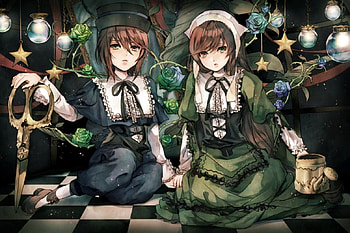 Souseiseki & Suiseiseki, sisters, rozen maiden, twins, long hair, dress, bicolored eyes, anime, short hair, brown hair, flowers, souseiseki, friends, hat, suiseiseki HD wallpaper