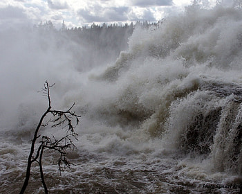 Wild river, nature, rivers HD wallpaper