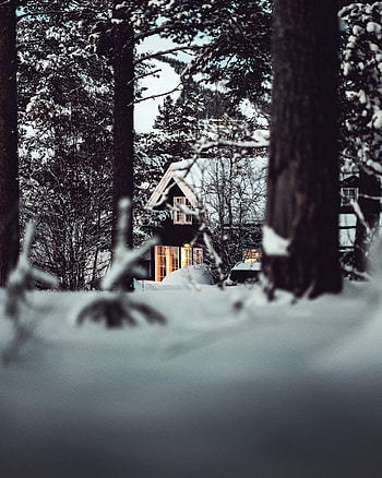 Winter, Nature, Snow, Forest, Small House, Lodge HD phone wallpaper