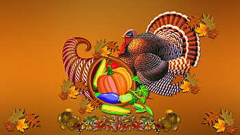 Turkey--thanksgiving-day-2012- HD wallpaper