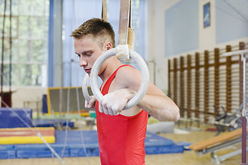 Muscle Groups, Gymnastic Rings HD wallpaper