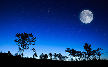 Landscape, Trees, Sky, Night, Moon HD wallpaper