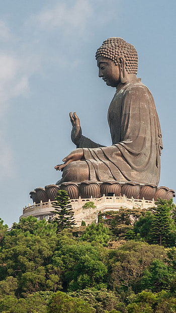Tathagat Buddha, Lord Buddha, lord, buddha HD phone wallpaper