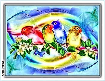 CARTOONAIZED BIRDS, ART, MY, CREATION, ABSTRACT HD wallpaper