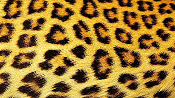 Background, Patterns HD wallpaper