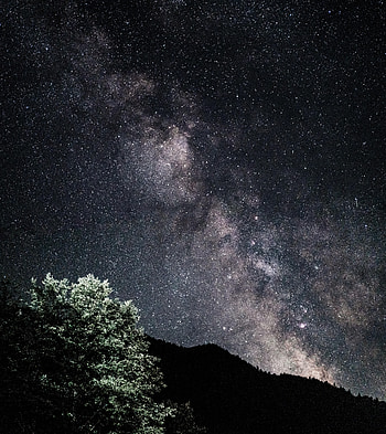 Stars, Bush, Dark, Starry Sky, Hills, Nebula HD phone wallpaper