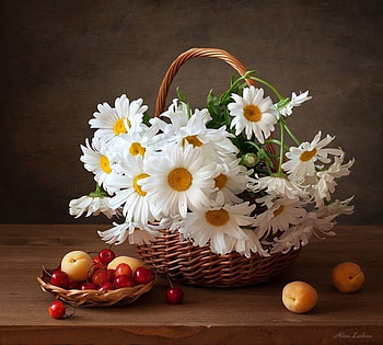 Still life with love, Cherries, Fruits, Closeup, Basket HD wallpaper