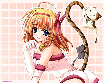 Shuffle 'tiger', hot, kurd, girl, beauty, xatar, lady, anime, zaxo, ker HD wallpaper