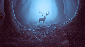 Into the woods, Reindeer, wildlife, art HD wallpaper
