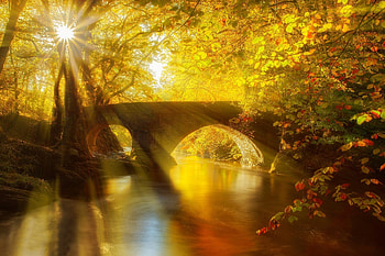 Cute Fall Backgrounds - afari HD wallpaper