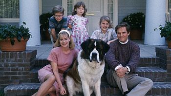 Beethoven (Movie), Rakuten TV, Heartwarming story, Four-legged star HD wallpaper