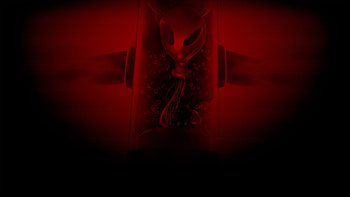 Alien's formol, space, skull, alien head, alien HD wallpaper