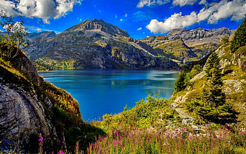 Italian Alps, Italia, Alps, wildflowers, view, beautiful, sky, lake, mountain, rocks HD wallpaper