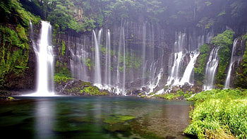 shiraito falls in japan, wide, trees, waterfalls, pool, cliff HD wallpaper