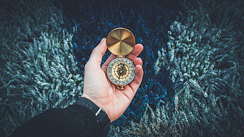Flowers, Hand, Miscellanea, Miscellaneous, Compass HD wallpaper