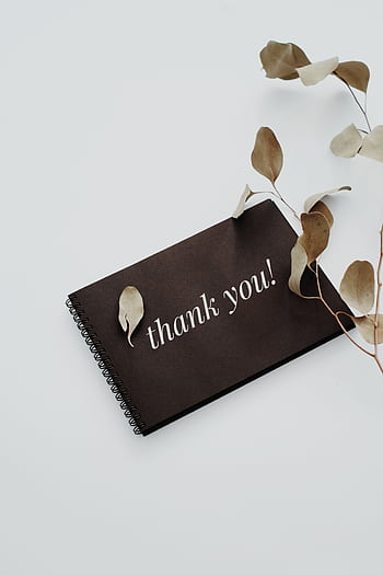 Elegant thank you note with dried eucalyptus leaves on a white background. HD phone wallpaper