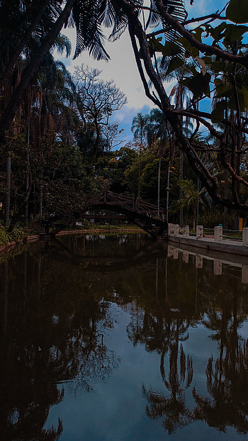 Dark in park with a bridge over a lake, lake, tree, green, light, dark HD phone wallpaper