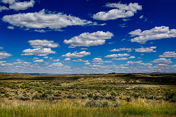 Nature, Grass, Clouds, Summer, Horizon, Field HD wallpaper