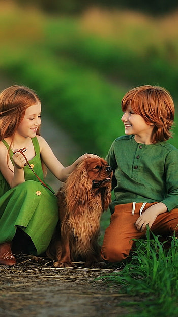 Friendship Whatsapp, Green Grass, Background HD phone wallpaper