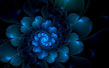 Flowers, Background HD wallpaper
