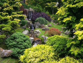 Plants, Landscape, Trees HD wallpaper