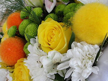 Flowers, Balloons, Rose Flower, Rose, Close-Up, Beauty, Bouquet, Taw HD wallpaper