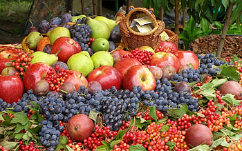 Fruits, Food HD wallpaper