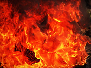 Close-up view of blazing flames showcasing vibrant orange and red colors. HD wallpaper