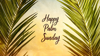 Blessed Palm Sunday — Quad, Religious HD wallpaper