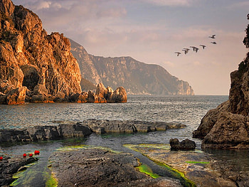 Rocks in River, beautiful HD wallpaper