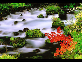 River, nature, rivers HD wallpaper