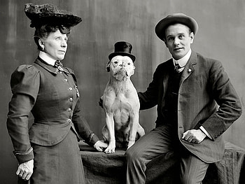 You thought Your grandparents were Strange., were, fun, strange, , humor, grandparents HD wallpaper