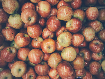 Fruits, Food, Apples, Ripe, Harvest HD wallpaper
