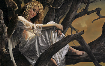 angel, wings, girl, sitting, tree HD wallpaper