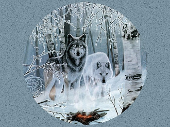 dream fantasy 043. jpg, white, black, animals, snow, wolfs HD wallpaper