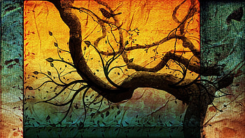 Trees, Background HD wallpaper