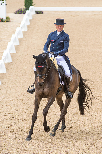 Michael Jung, Eventing HD phone wallpaper
