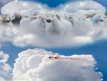 dream, horses, white, clouds, sky, fluffy HD wallpaper