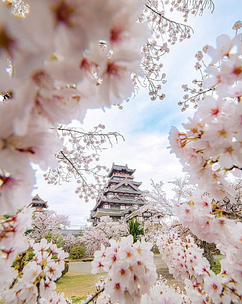 Fushimi castle, cloud, sky HD phone wallpaper