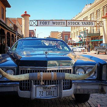 Fort Worth Stockyards, Fort Worth HD phone wallpaper