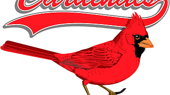 Sports, St. Louis Cardinals Baseball Mlb Logo Background, Mlb, St. Louis HD wallpaper