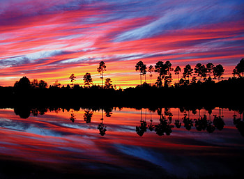 Florida sunset , , Florida sunset backgrounds HD wallpaper