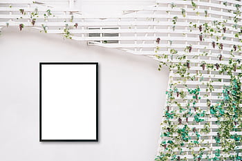 Minimalist frame on white lattice wall with green leaves, perfect for mockups. HD wallpaper